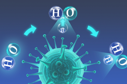 Bacteria lose their activity after being adsorbed by dual ions