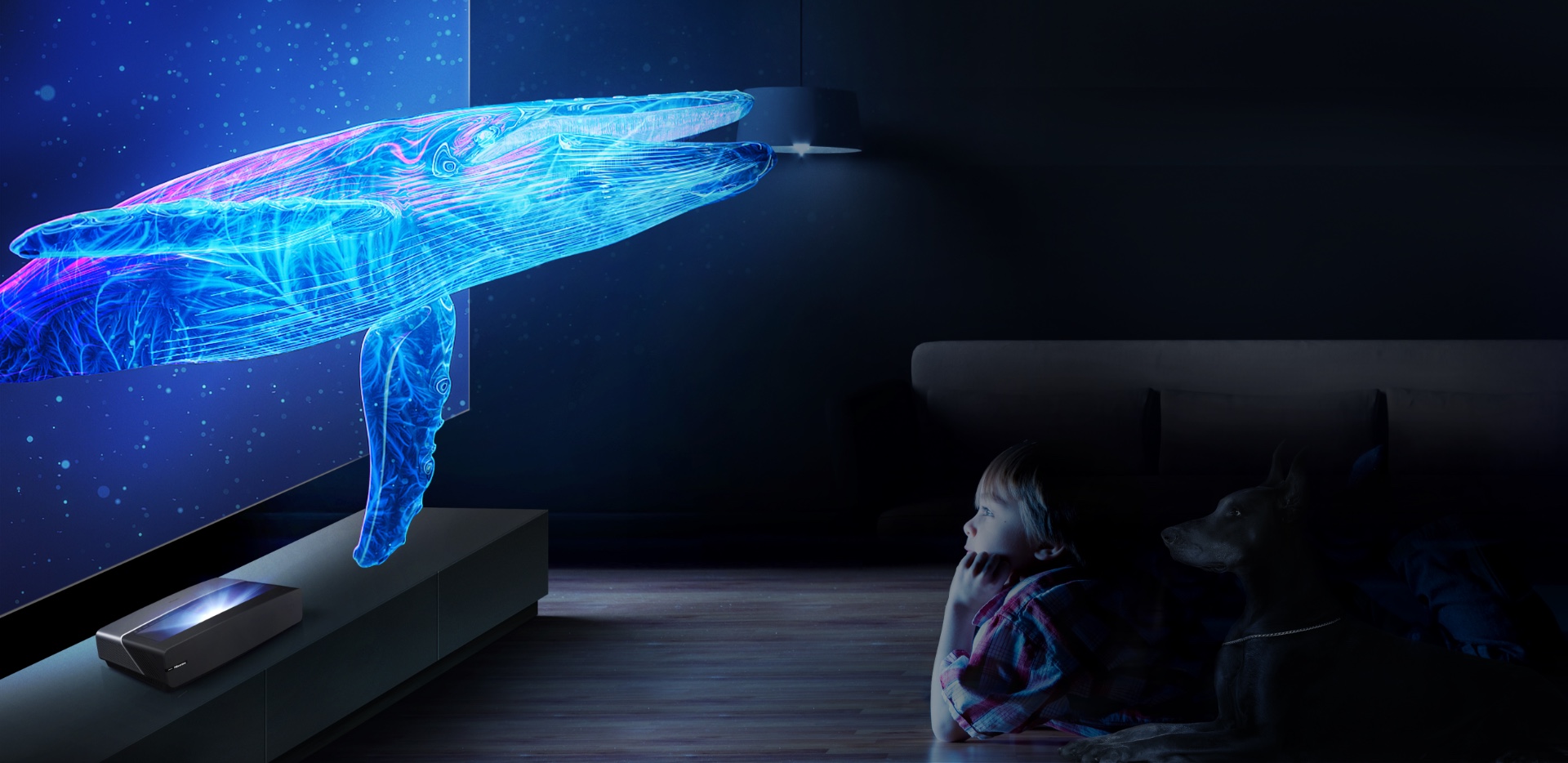 Hisense 88L5V Laser TV - Easy on the Eyes