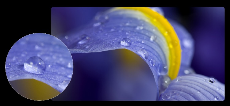 Hisense Infinity H50 - Macro Shot