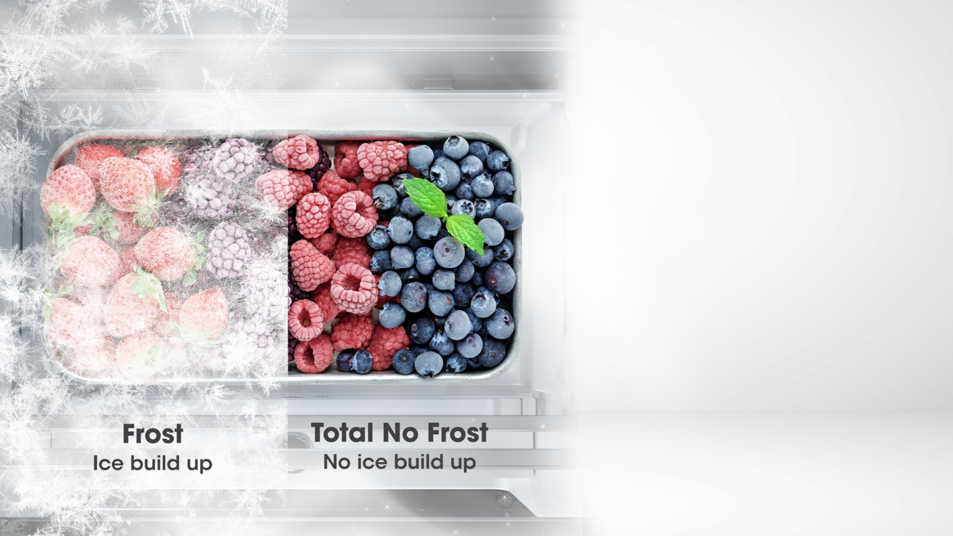 Hisense RM-43WC Refrigerator - No Frost