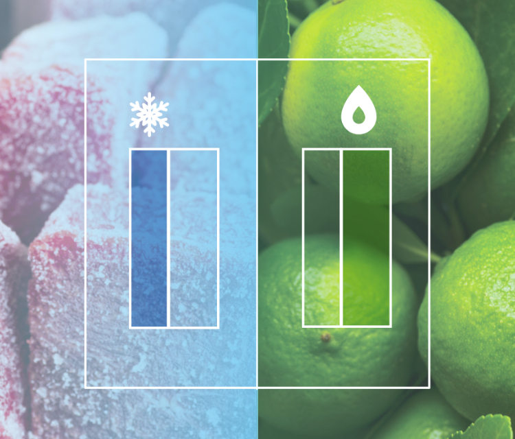 Hisense RC-70WS Refrigerator -   Independent Fridge