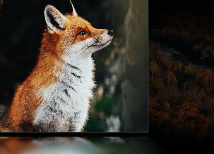 Hisense U9G - 8KResolution image showcase