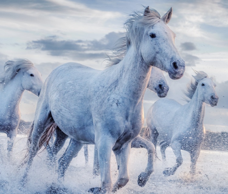 Hisense U80G - Step into the story with Dolby